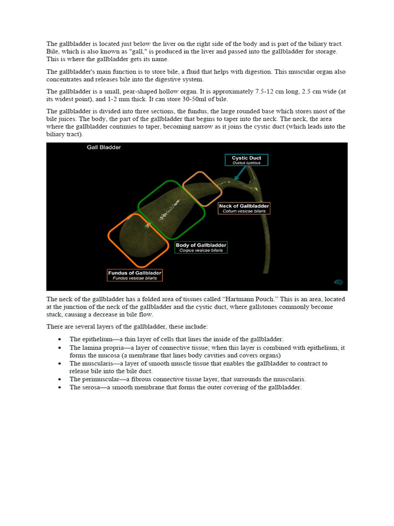 gallbladder-anatomy-physiology Biology Diagrams