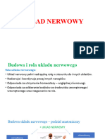 Układ Nerwowy