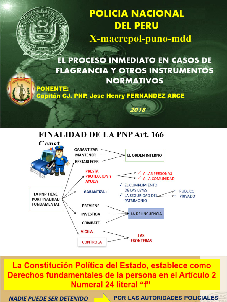 Proceso Inmediato en Flagrancia | PDF | Fiscal | Policía