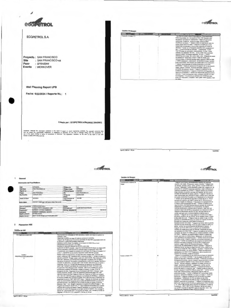 12.well Planig Report | PDF
