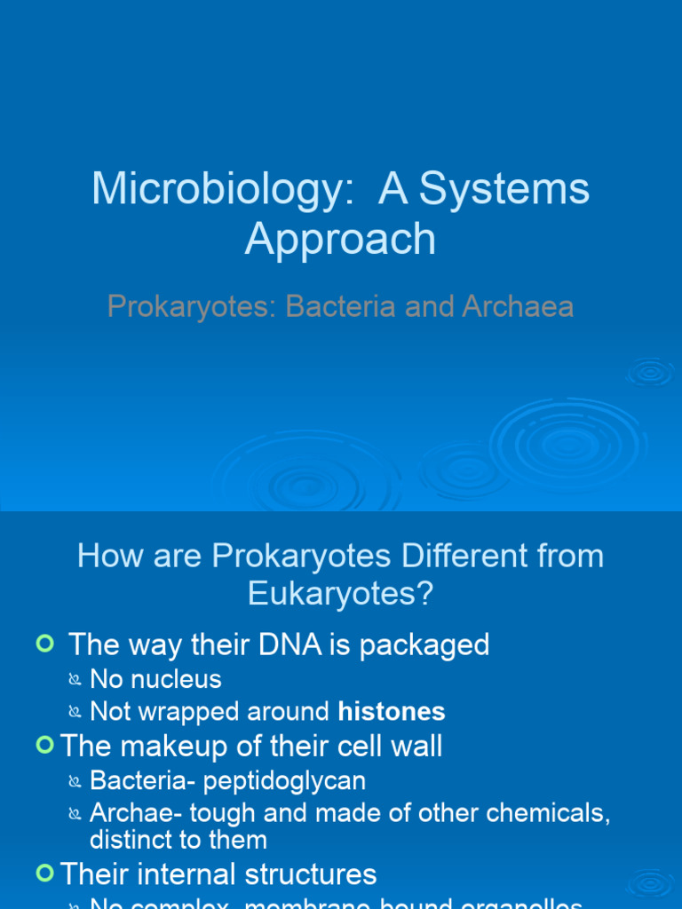 4 Prokaryotes Pdf Bacteria Cell Biology