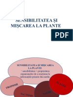 Sensibilitatea Si Miscarea La Plante