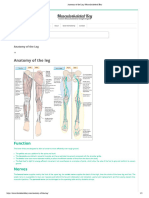 Anatomy of The Leg - Musculoskeletal Key