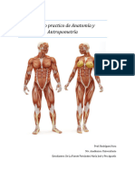 Trabajo Practico de Anatomía y Antropometría Tejidos Humanos