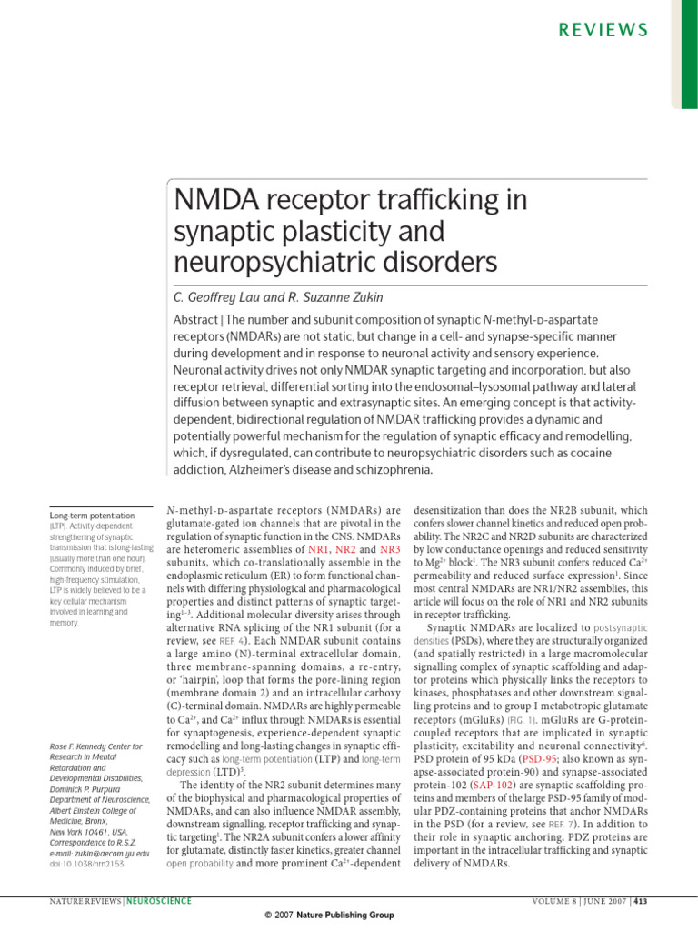 NMDAR Trafficking in Synaptic Plasticity | PDF | Nmda Receptor ...