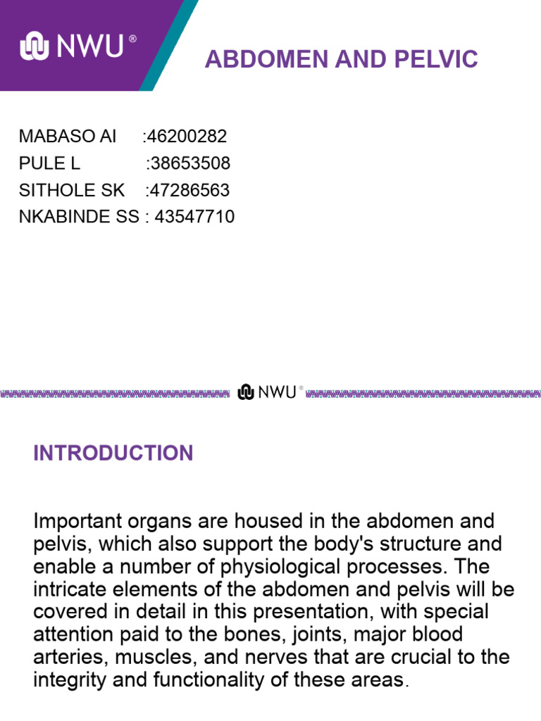 Anatomy of Abdomen and Pelvis Overview | PDF | Pelvis | Abdomen