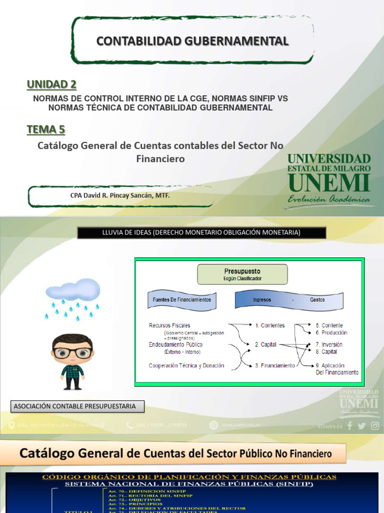 Catálogo de Cuentas Contables Gubernamentales | PDF | Contabilidad ...
