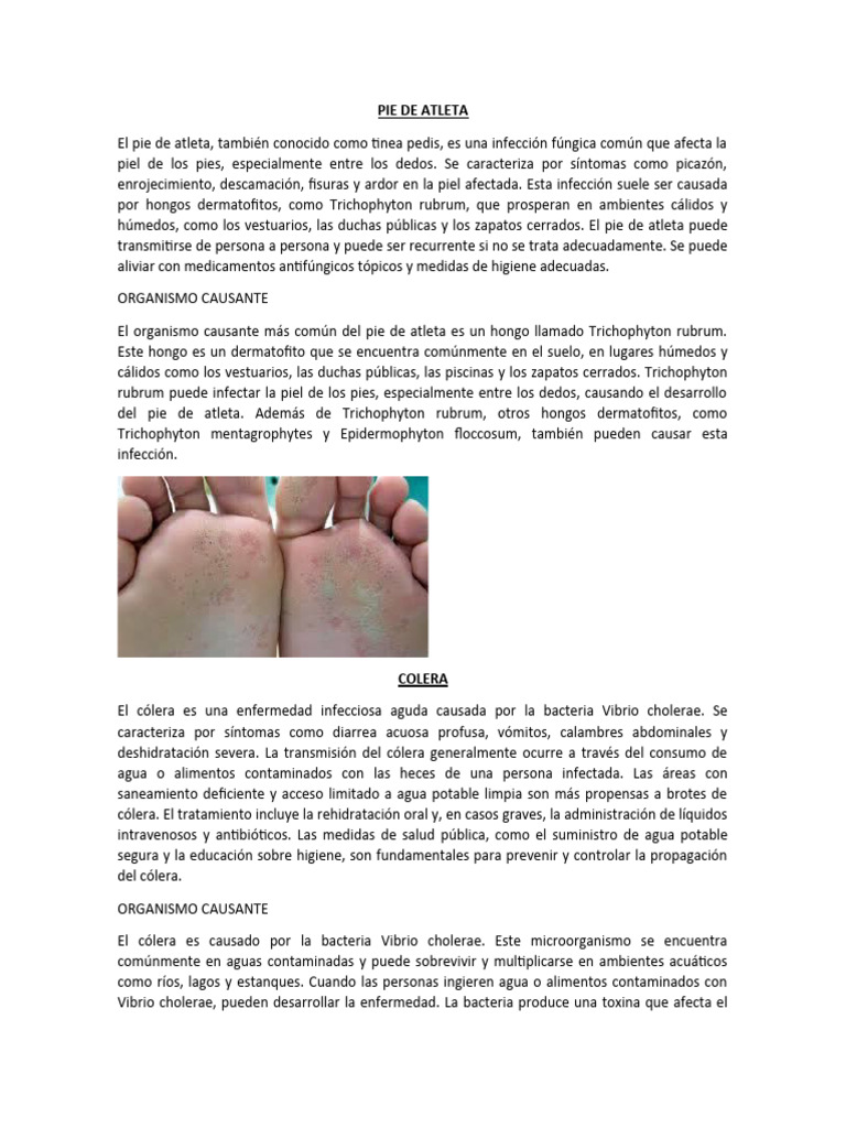 PIE DE ATLETA PDF Malaria Rut (figura bíblica)