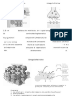 Sinapsi, Secondi Messaggeri Neurotrasmettitori_BN