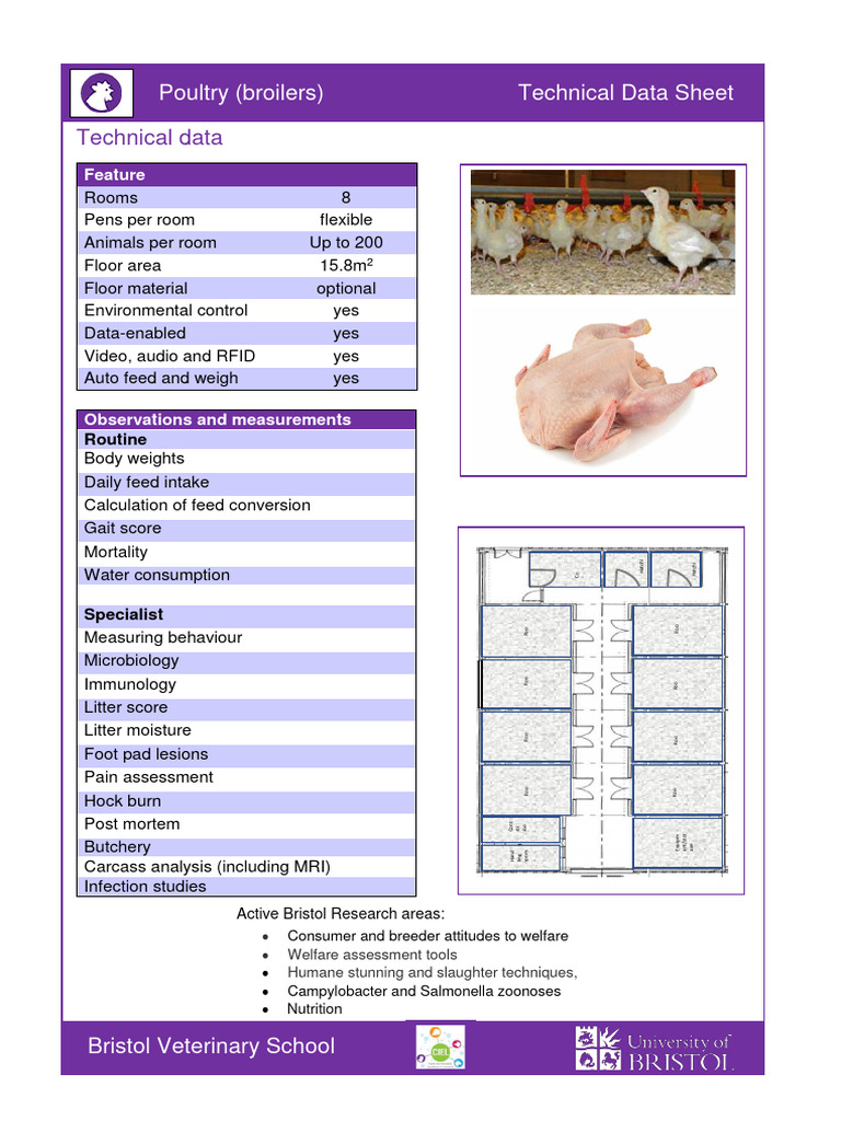 Poultry Research Facility Specs | PDF | Broiler | Animals And Humans