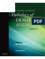 Jubb, Kennedy & Palmer's Pathology (Sixth Edition) Vol 3