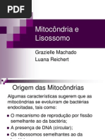 Mitocôndr..