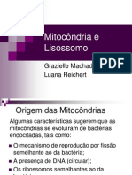 Mitocôndr