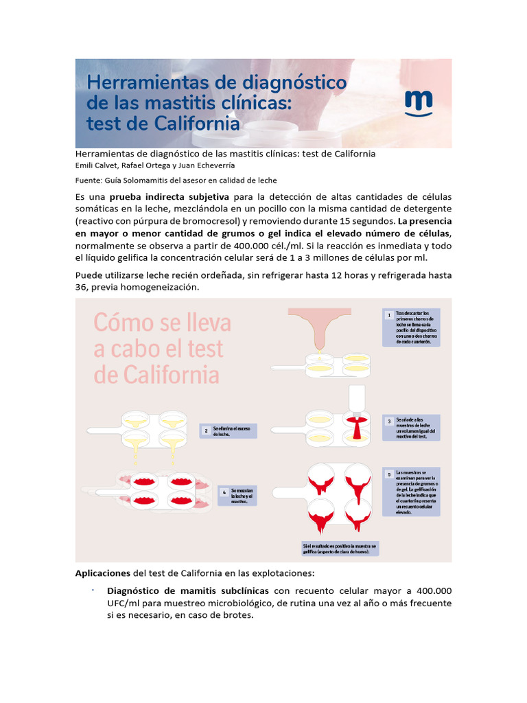 Diagnóstico de Mastitis con Test de California | PDF | Leche ...