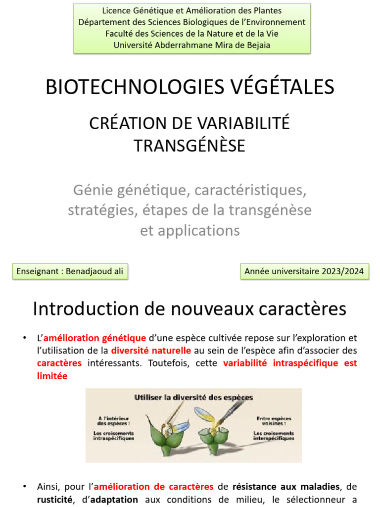Étapes de la transgénèse végétale | PDF | Gène | Plasmide