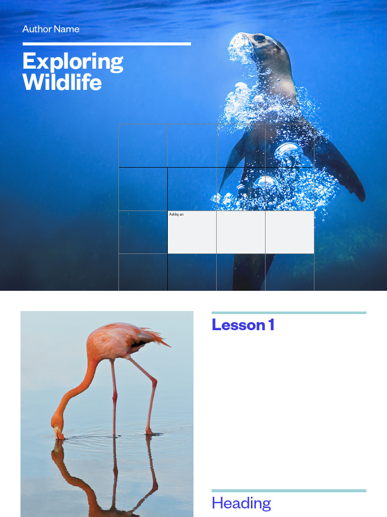 Guide Book | PDF | Page Layout | Text