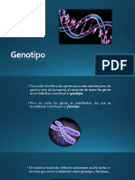 05 Modelos en Genética
