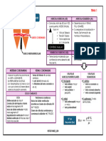 Anatomia y Fisiologia Cardiaca