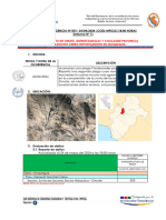 Informe de Emergencia Plagas