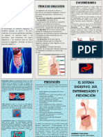 Triptico Del Sistema Digestivo