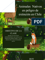 Animales Nativos en Peligro de Extinción