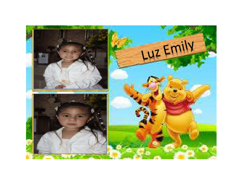 Emiy PDF