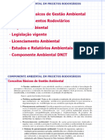 Componente Ambiental em Projetos Rodoviários