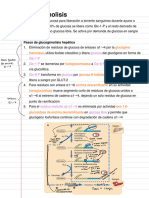 Resumen de glucogenólisis 