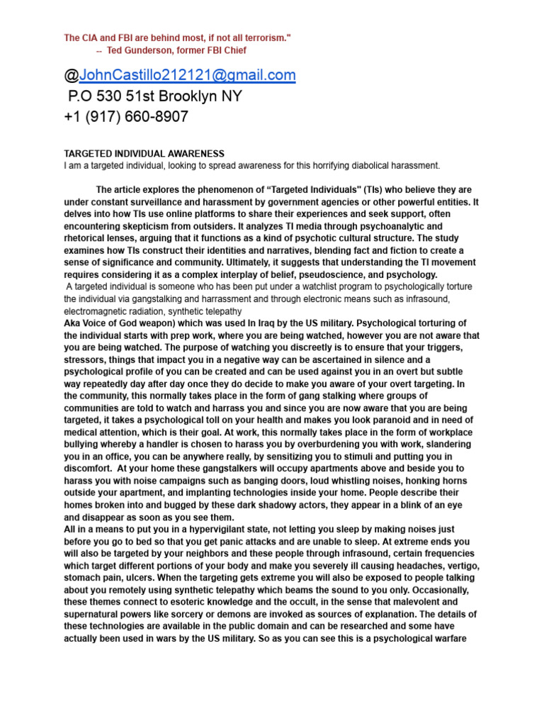 Targeted Individual | PDF | Jacques Lacan | Meme