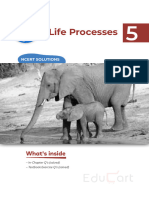 X Science Chap-5 (Life Processes)