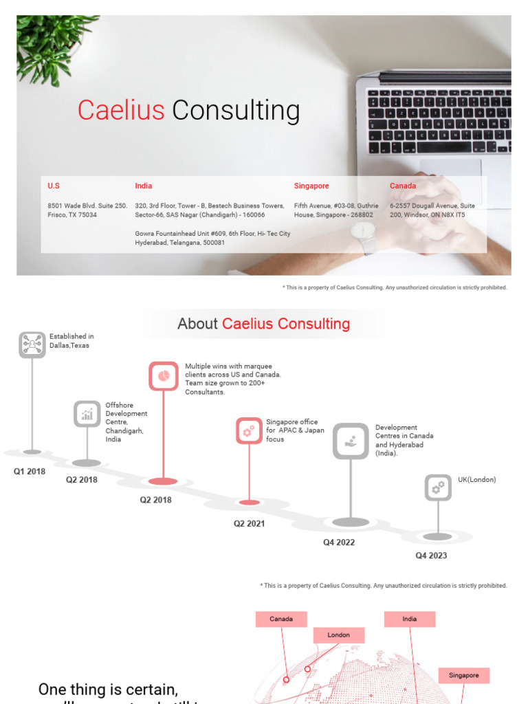 Caelius Consulting Overview and Opportunities | PDF | Business | Computing