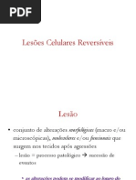 lesões reversíveis 2011 2