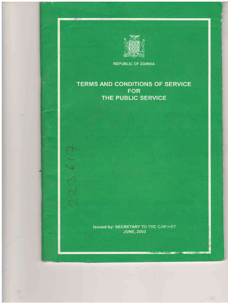 Terms and Conditions of Service For The Public Service PDF | PDF 