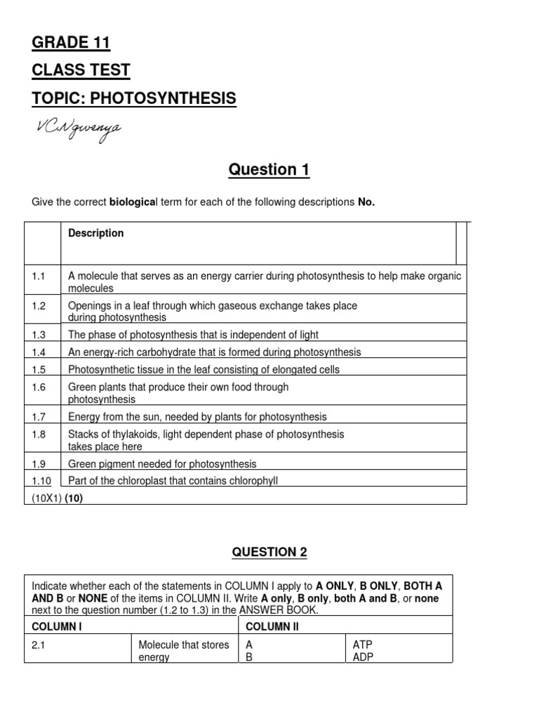 Grade 11 Photosynthesis Test Paper | PDF | Photosynthesis | Chloroplast