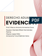 Evidencia I - Derecho Aduanero