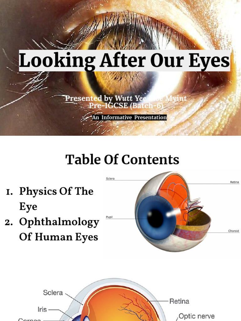 Eye Anatomy and Vision Health | PDF | Eye | Visual Acuity