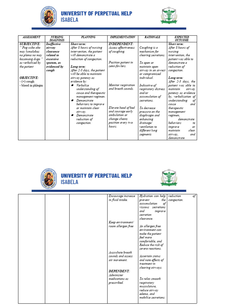 NCP Ineffective Airway Clearance | PDF | Clinical Medicine | Medical ...