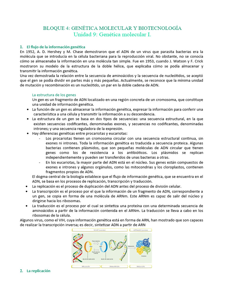 Genética Molecular: Replicación del ADN | PDF | Codigo genetico | Rna