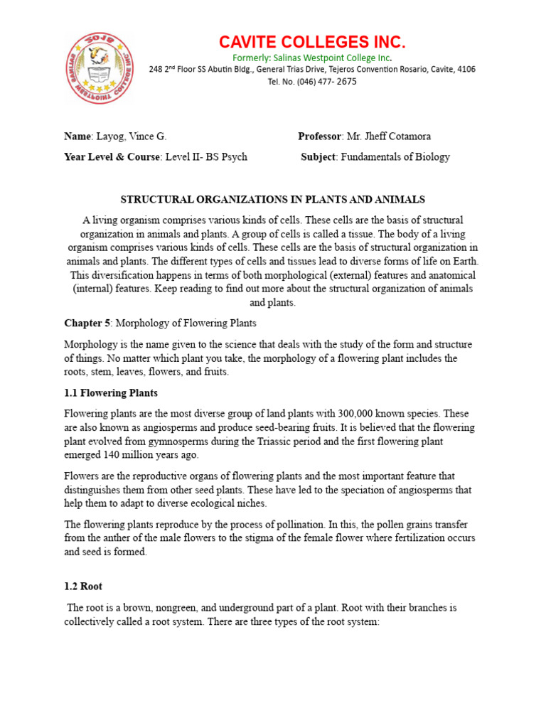 Research Biology Pdf Fruit Leaf