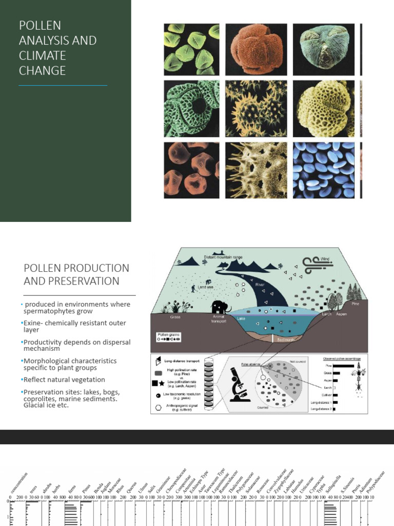 Pollen Fossils Applied Palaentology | PDF