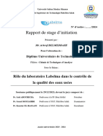 Rapport stage LYDEC