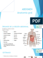 07 - ABDOMEN - Anatomia Gral Descriptiva
