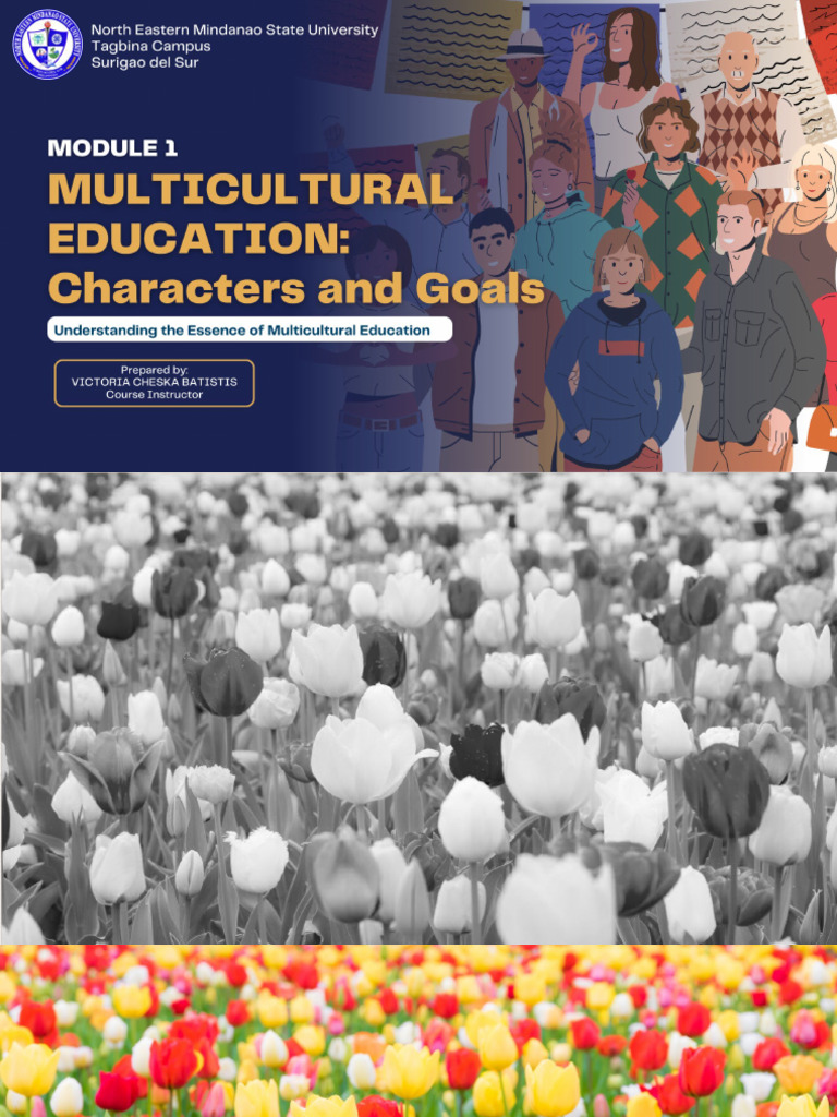 Multicultural Education Strategies | PDF | Multiculturalism | Cross ...
