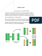 Curs 2 - Replicarea ADN