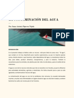 Ensayo La Contaminación Del Agua