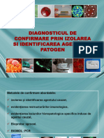 Lab 3 Izolare Identificare Agent Patogen