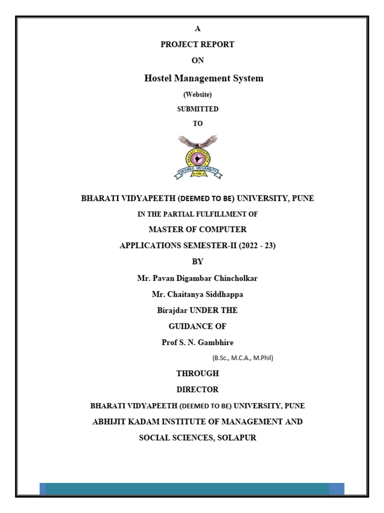Project Report | PDF | Unit Testing | System