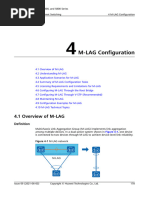 01 04 M LAG Configuration