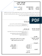 Arabic CV