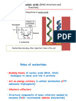 Microsoft PowerPoint - Nucleic Acid - Latest - Use This One